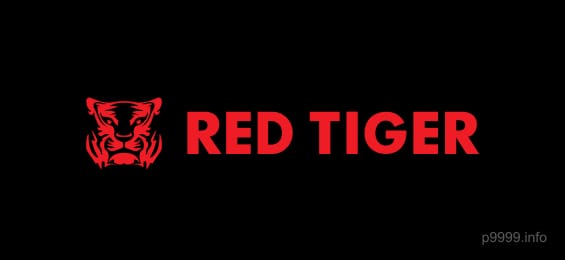 Partner 4 - Play Now